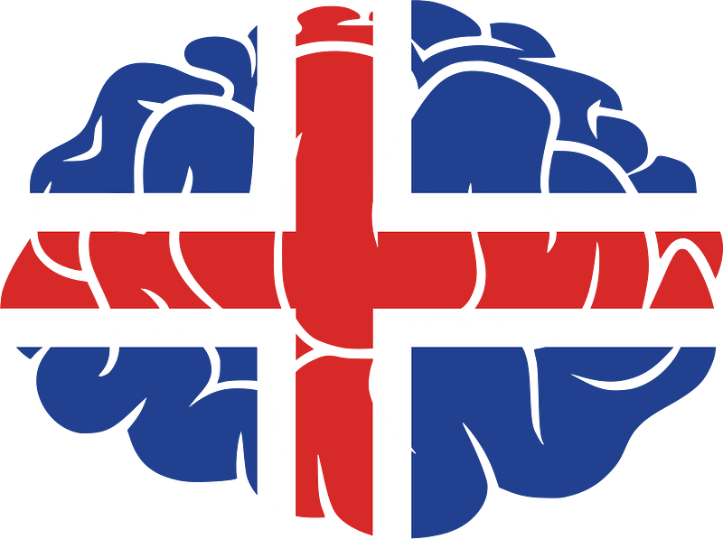 Iceland flag brain silhouette