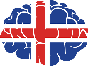 Iceland flag brain silhouette