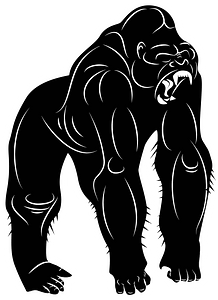 Gorilla