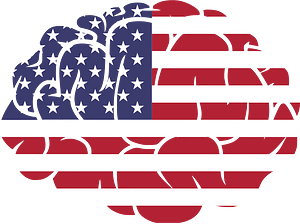 Brain with American flag