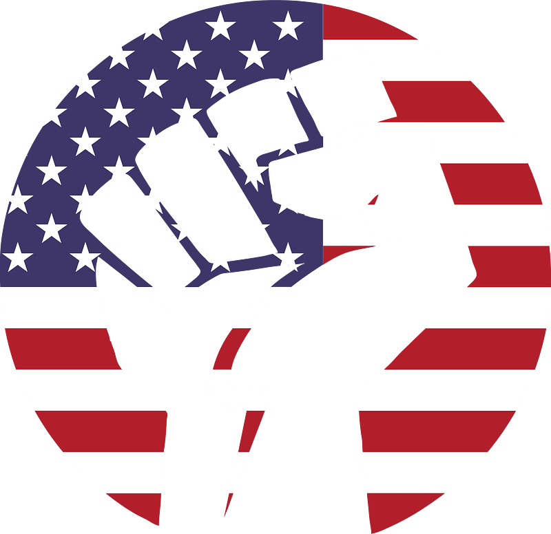 Clenched fist with American flag