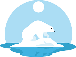 Polar bear on iceberg
