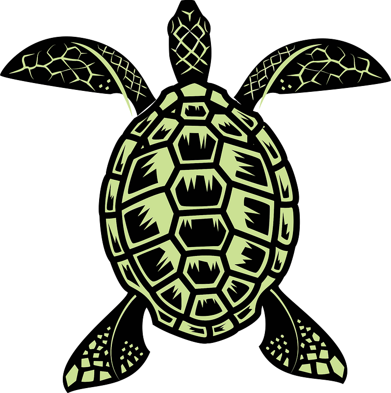 Sea turtle vector image