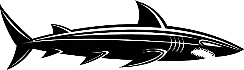 Dangerous shark silhouette