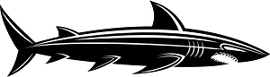Dangerous shark silhouette