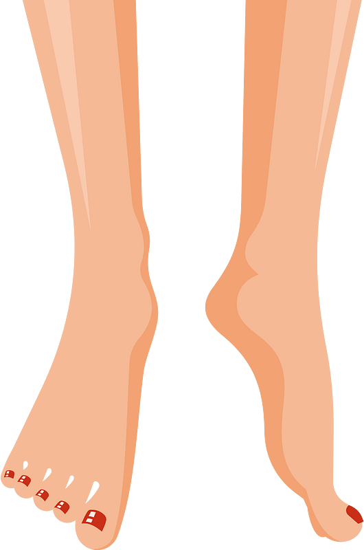 Female feet