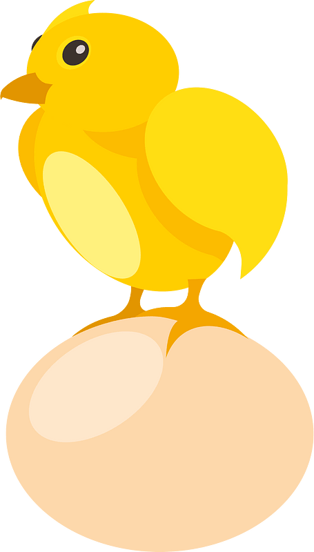 Small chick and an egg