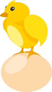 Small chick and an egg