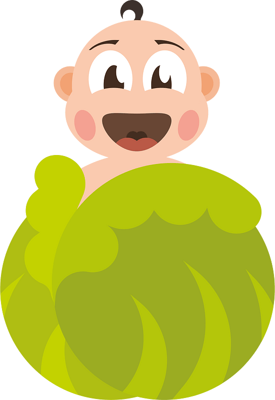 Kid in a cabbage