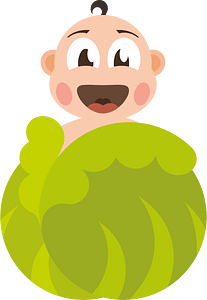Kid in a cabbage