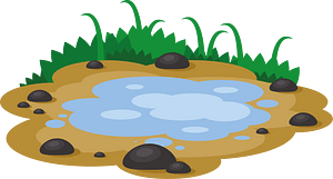 A puddle