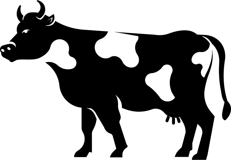 Cow cattle silhouette