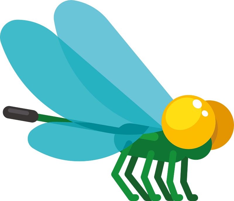 Dragonfly insect