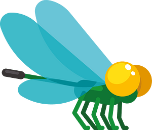 Dragonfly insect
