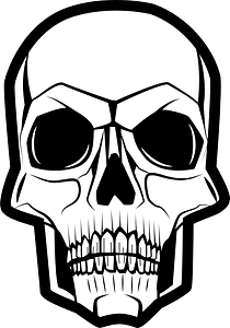 Human skull grey color