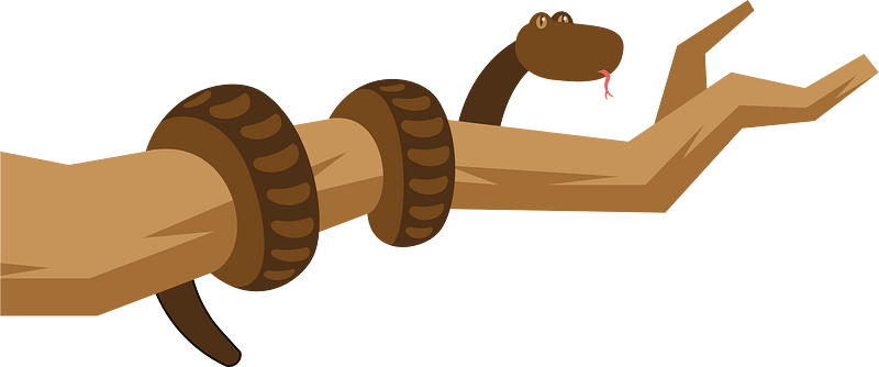 Snake on a tree branch