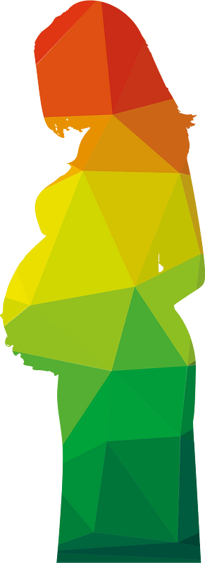 Pregnant woman colored silhouette