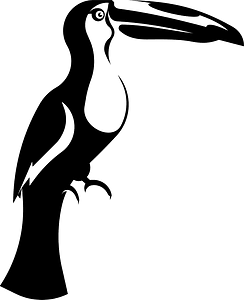 Toucan bird silhouette