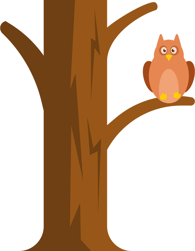 Owl on the tree