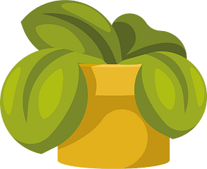 Flower plant with big leaves