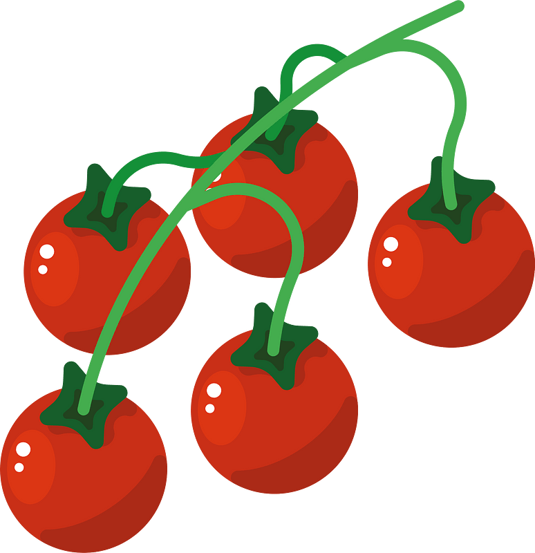 Tomatoes on a branch