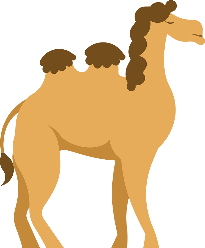 Camel cartoon clip art