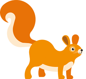 Cute squirrel with long tail