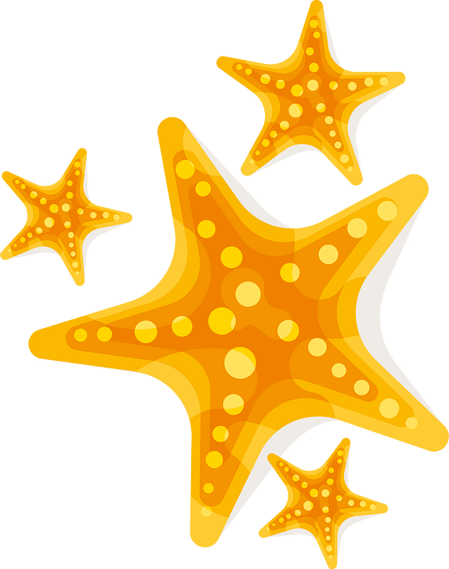 Yellow starfish