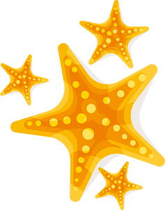 Yellow starfish