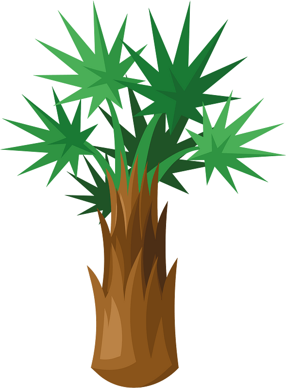 Palm tree plant