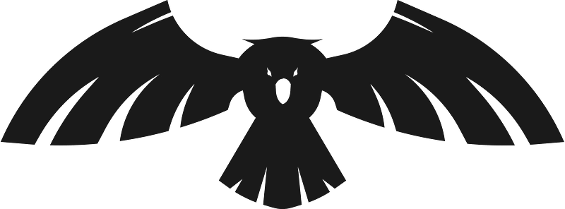 Flying bird monochrome silhouette
