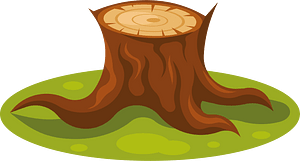 The stump