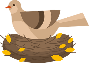 Bird in the nest clip art