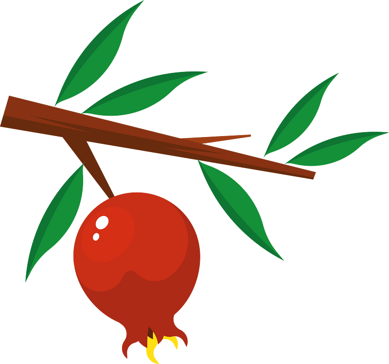 Pomegranate tree branch - Free vector clipart images on creazilla.com