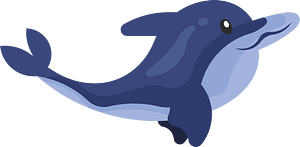 Dolphin in the sea