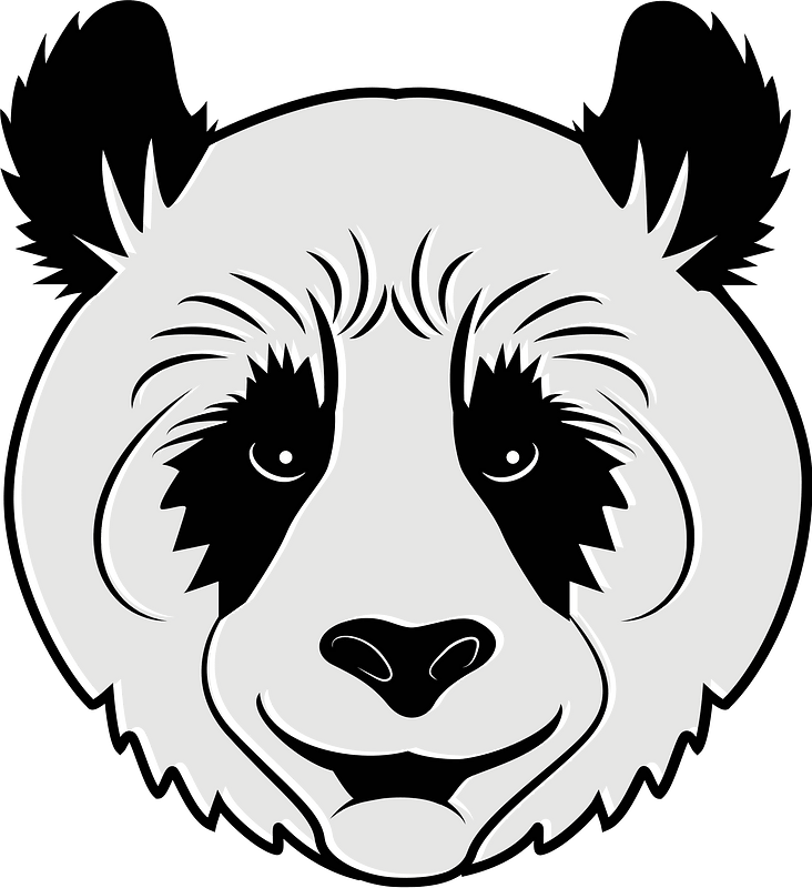 Panda bear head