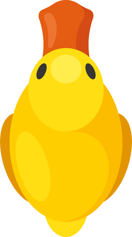 Duckling top view