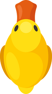 Duckling top view