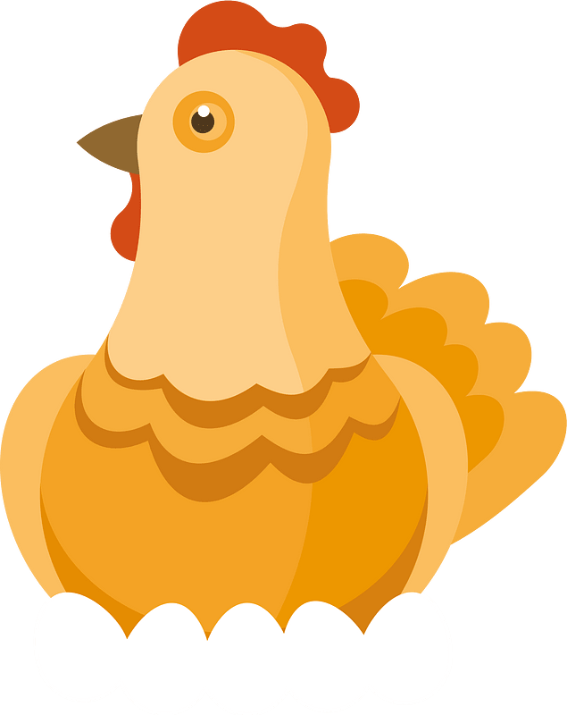 Chicken hatches eggs