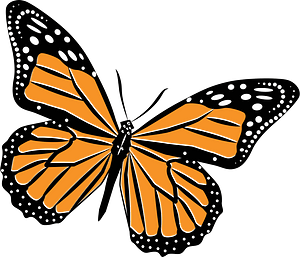 Butterfly insect clip art