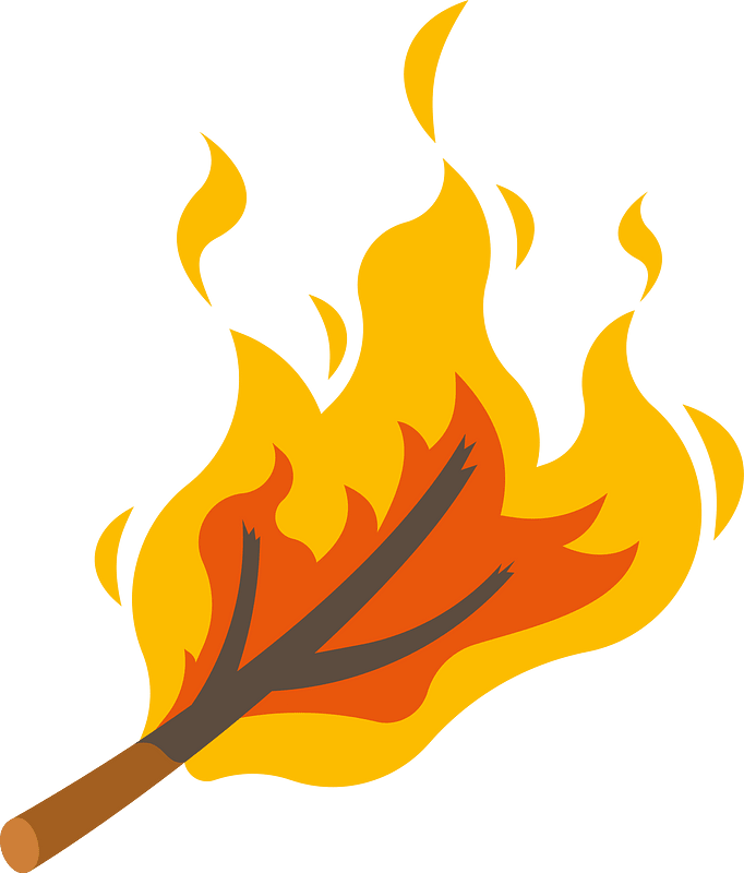 Burning tree branch