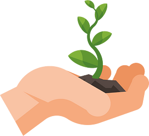 Hand with a sprout