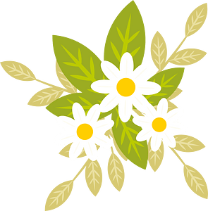 White flowers bouquet