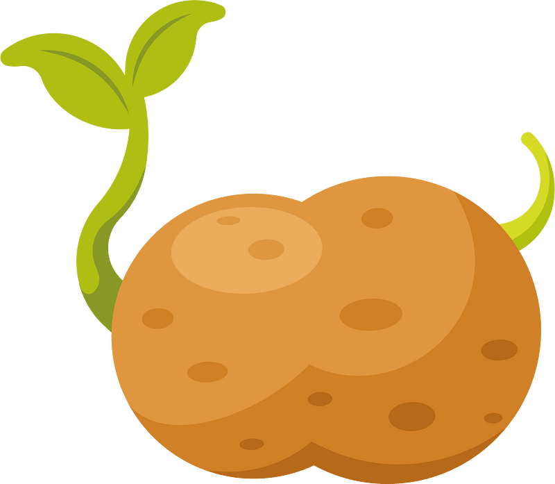 Potato vegetable