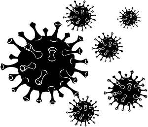 Virus infection