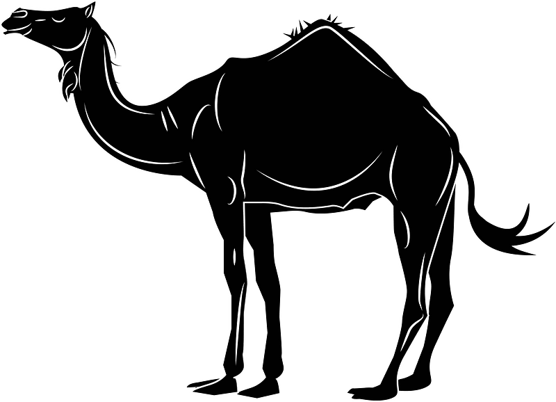 Camel silhouette clip art