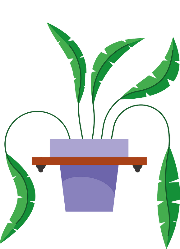 Floral plant on the wall