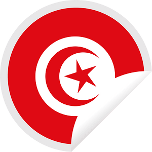 Tunisia flag peeling sticker