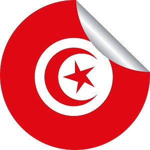 Tunisian flag peeling sticker