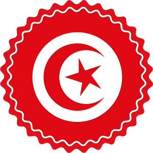 Tunisian flag sticker